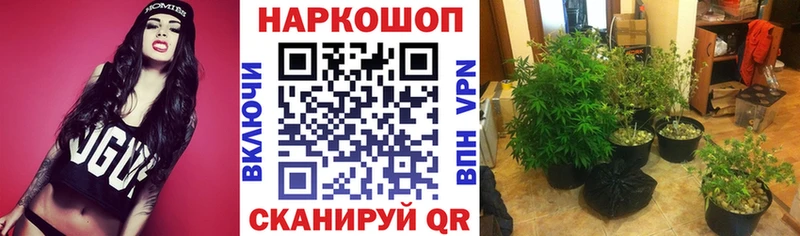 Наркота Златоуст Кокаин А ПВП Меф ГАШИШ Метадон Канабис