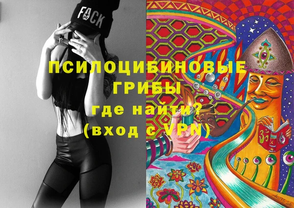 эйфоретик Покачи