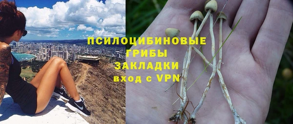 ALPHA PVP Богородицк